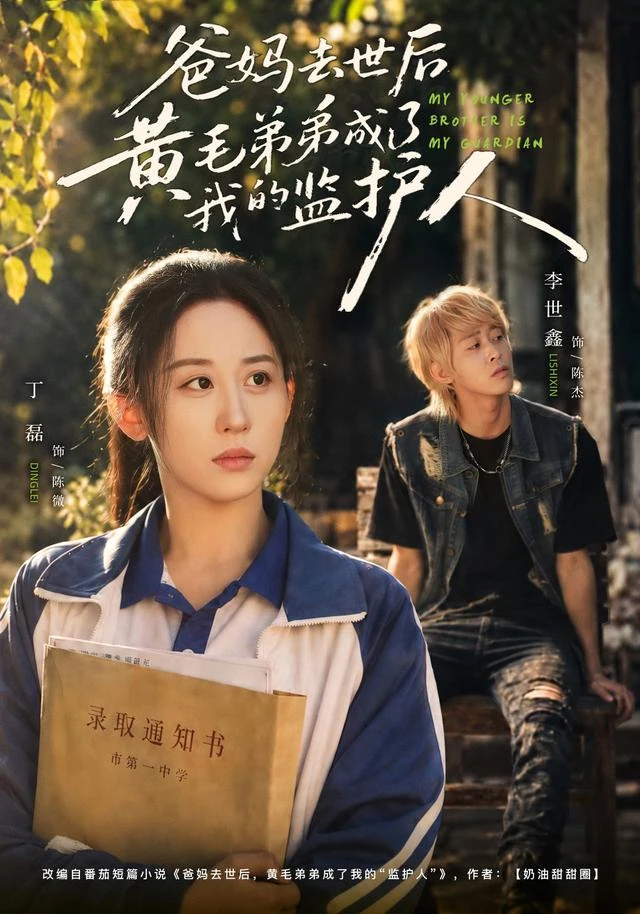 《爸妈去世后黄毛弟弟成了我的监护人》官方海报